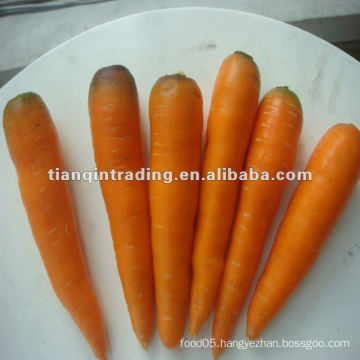 2012 fresh carrot